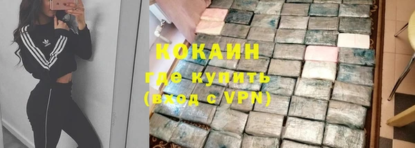 стаф Богданович