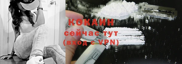 стаф Богданович