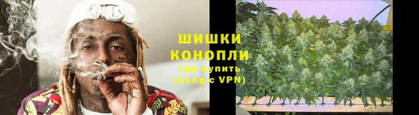 стаф Богданович