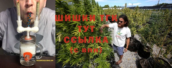 стаф Богданович