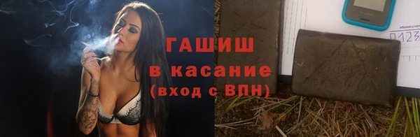 стаф Богородск