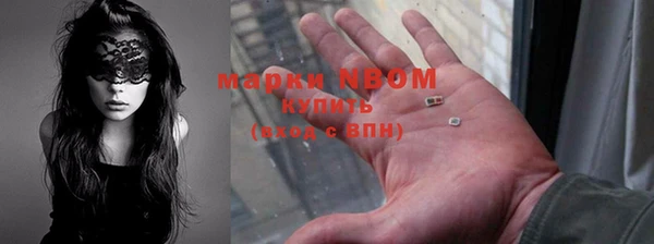 стаф Богородск