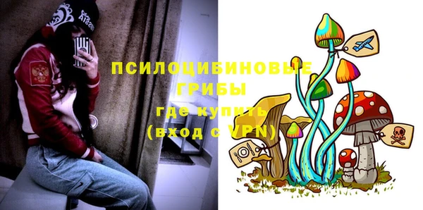 стаф Богородск