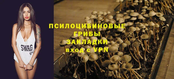стаф Богданович