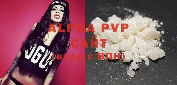 стаф Богданович