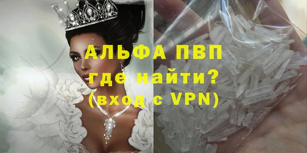 стаф Богданович